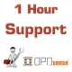 1 hour OPNsense® software support